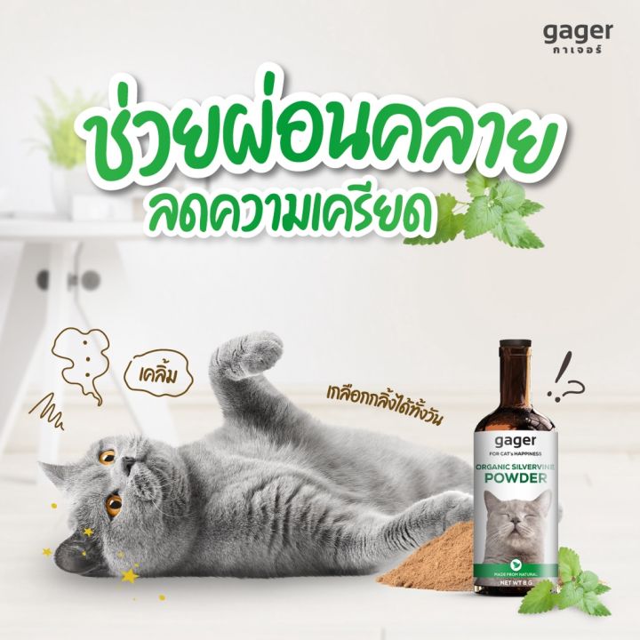 กัญชาแมว-กัญชาแมวแบบผง-แคทนิปกัญชาแมว-หญ้าแมว-catnip-กัญชาแคทนิป-แคทนิป-ขนาด8กรัม-ผ่อนคลาย-ลดความเครียด-บรรเทาอารมณ์-สำหรับแมวทุกวัย-petitz