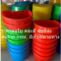 ถ้วยน้ำเกาะสุ่มไก่ คละสี สุ่มสีส่ง ถ้วยน้ำนก ถ้วยน้ำไก่ ถ้วยน้ำไก่ชน ถ้วยน้ำเกาะสุ่ม ถ้วยน้ำสัตว์เลี้ยง ถ้วยน้ำ เลี้ยงนก เลี้ยงไก่