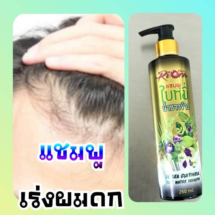 แชมพู-เร่งผมยาว-แก้ผมร่วง-แก้หัวล้าน-riora-สูตรผมดกดำเงางาม-ใบหมี่-น้ำซาวข้าว-ริโอร่า