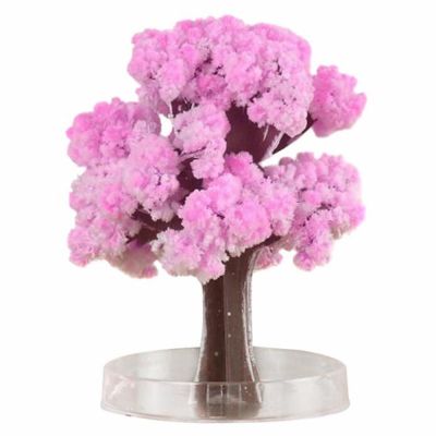 2020 9x8cm Cool!ThumbsUp!Magic Japanese Sakura Tree-Brand New Made in Japan Pink Magic Decorative Toy Growing Paper Trees Toys