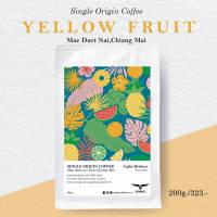 กาแฟคั่วสด Yellow Fruit Mae daet noi,Chiang mai กาแฟบ้านแม่แดดน้อย จ.เชียงใหม่