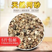 [COD] Coarse river sand multi-meat pavement with soil coarse particles planted aquarium fish tank bottom 5 catties free shipping