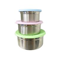 Small Stackable Toddler Snack Containers Silicone Airtight Seasoning Jar Storage Box Refrigerator Food Storage Box Bento Box for Kids (300/600/1100Ml), Leak-Proof Stainless Steel Containers with Lids