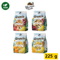 กราโนล่า Granola ยังเกอร์ ฟาร์ม Younger Farm รวมรสผลไม้ 4 รสชาติ