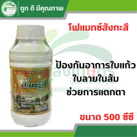 โฟแมกซ์ สังกะสี 700 (Phomax Zn 700) ขนาด 500ซีซี ตราโซตัส ป้องกันอาการใบแก้ว  กระตุ้นการแตกตา พืชทนต่อสภาพอากาศหนาวได้ดี