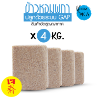 ของแท้ ข้าวกล้องกข43 แท้ 100% ข้าวน้ำตาลต่ำ 泰国大米品种编号43 RD43 Rice variety Low GI ตราหอมผกาบรรจุ 4 kgs./ ลัง) brownrice ข้าวกล้อง ไม่ติดฉลาก พรีเมี่ยม