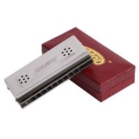 Harmonica 10 Holes Blues Both Sides of C G stainless steel Cover plate mouth organ instruments