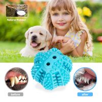 【CW】 Dogs Interactive Dog Chew Cleaning Elasticity Small Big Rubber