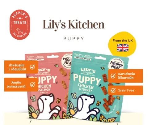 Lily S Kitchen Puppy   4fc5f9b98b1a28fc0135533993be5026  720x720q80  .webp