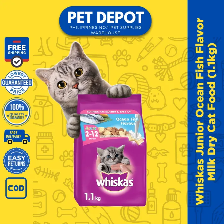 Whiskas Junior Ocean Fish Flavor Milk Dry Cat Food (1.1kg) Lazada PH