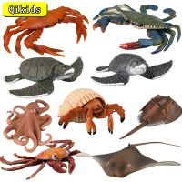 Nova Simulação Animais Modelo Figura De Ação Vida Marinha Tartaruga Eremita Caranguejo Brinquedo Figuras Coleão Pvc Adorável Brinquedos Crianas Presentes