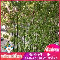 ROSENICE【Hot Sale】 50 ชิ้นจำลองใบไผ่กิ่งไผ่สาขาปลอมตกแต่งในครัวเรือนเครื่องประดับสำหรับโฮมออฟฟิศร้านอาหาร (สีเขียวอ่อน)