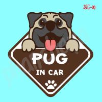 ( โปรสุดคุ้ม... ) DIC30 สติ๊กเกอร์ ติดรถ PUG Dog In Car สติ๊กเกอร์ติดรถ แต่งรถ car sticker สุดคุ้ม สติ ก เกอร์ ติด รถ สติ๊กเกอร์ ออฟ โร ด สติ ก เกอร์ ข้าง รถ กระบะ สติ ก เกอร์ ข้าง รถ สวย ๆ