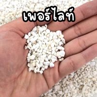 วัสดุปลูก ? เพอร์ไลท์ แบ่งบรรจุ 0.5 - 3 ลิตร ใช้ผสมดินเพิ่มความโปร่งในดิ ต้นไม้ฟอกอากาศ ต้นไม้ในห้อง ต้นไม้มงคล