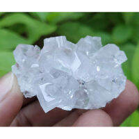 1 Piece Randomly Pick White Apophyllite Super Natural Little Charming Quality Specimen of Crystal Cluster / White