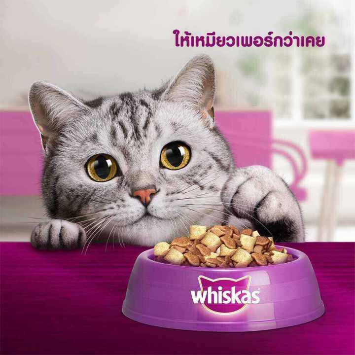 whiskas-วิสกัส-อาหารแห้งแมว-รสปลาทู-2-7-กก-สำหรับลูกแมว-อายุ-2-12-เดือน