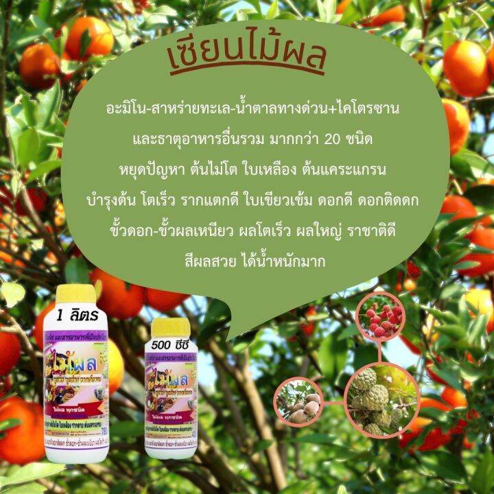 พร้อมส่ง-เซียนไม้ผล-ขนาด-4ลิตร-แถม-ขนาด-1ลิตร-2-ขวด-อะมิโนพืช-ชนิดเข้มข้ม-ฮอร์โมนไม้ผล-ปุ๋ยฉีดไม้ผล-ปุ๋ยทางใบ-ฮอร์โมน