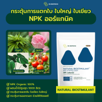 ปุ๋ย NPK ออร์แกนิค มีไนโตรเจนสูง บำรุงลำต้นและใบ ช่วยกระตุ้นการแตกกิ่งและใบ ใบเขียว ต้นใหญ่สมบูรณ์ ขนาด 500 ก.