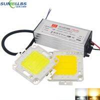 100 Epistar LEDs AC 110V 220V Full Watt 10W 20W 30W 50W 100W COB LED Matrix Chip Project Flood Light Source with LED Driver