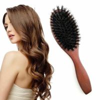 Soft Boar Bristle Oval Hair Brush Comb Scalp Massage Beech Wood Handle