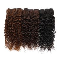 Jerry Curly Brazilian Human Hair Bundles Natural Color #2 #4 Dark Brown Remy Hair Extensions 50g/bundle Weaving Gemlong Hand Tool Parts Accessories