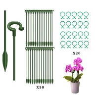 30Pcs Plant รองรับ Set -30Pcs Garden Single Stem Plant Support Stake With 20 Pcs Plant Cage Support Rings Flower Support Stakes