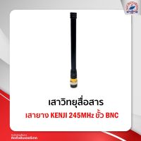 เสายาง KENJI 245MHz ขั้ว BNC