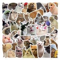 10/30/50pcs Funny Cat Stickers Cartoon Cute Decals Toy Stationery Guitar Phone Bicycle Laptop Luggage Car Graffiti Kids Sticker