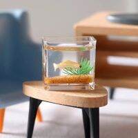 hot【cw】 Miniature Items Square/circular Simulated Aquatic for 1:12dollhouse Accessories Viewing DecorationsToys