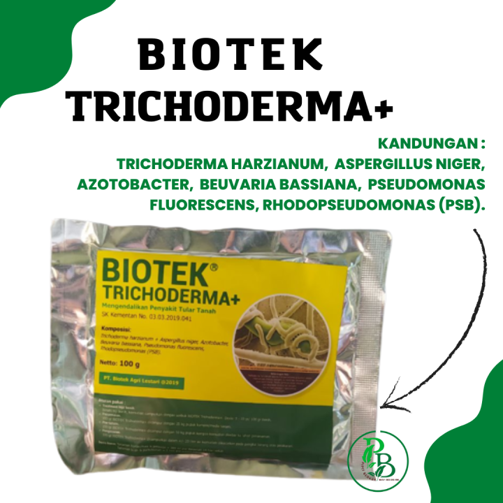 Pupuk Penyakit Tanaman Bawang Merah, Biotek Tricoderma+ Cegah Busuk ...