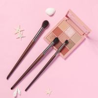 【CW】☈﹍▧  3 pcs Goat Hair Tapered Blending Makeup Brushes Make Up Set