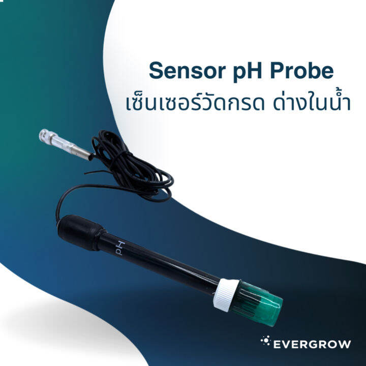 ready-stock-เซ็นเซอร์วัดกรด-ด่างในน้ำ-sensor-ph-probe-evg100มีบริการเก็บเงินปลายทาง