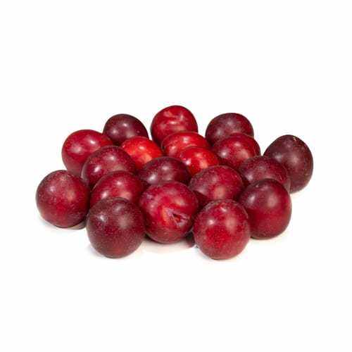 Imported Verry Cherry Plum Fruits (454g) Lazada PH