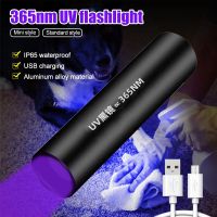 365nmUV USB Rechargeable Flashlight Ultraviolet Lamp Portable Torch Black Light Pet Moss Detector For Cat Dog Bed Bug Moldy Food Rechargeable Flashlig