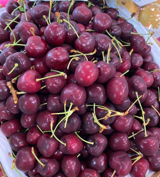 เชอร์รี่ 1 kg Cherries เชอร์รี่แดง usa เนื้อกรอบ รสชาติหวาน Lazada.co.th