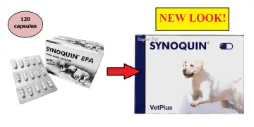 Synoquin large 2024 breed 120 capsules