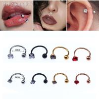 Hip Hop Piercing Women Jewelry 2023 Surgical Steel Zircon Sexy Nose Rings Cartilage Earrings Gem Bone New