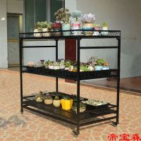 [COD] Succulent flower storage shelf wrought iron balcony multi-layer indoor bay window sill landing with wheels removable plant hanging