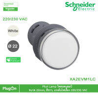 XA2EVM1LC - Schneider Electric - Pilot Lamp ไพลอตแลมป์  , ขนาด 22mm, สีขาว, แรงดันไฟเลี้ยง 220/230 VAC  สั่งซื้อได้ร้าน PlugOn