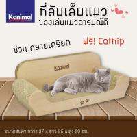 Kanimal Cat Toy ของเล่นแมว ที่ลับเล็บแมว รุ่นโซฟาจัมโบ้ ข่วนมัน นอนสบาย ลูกฟูกหนา ลับเล็บได้นาน ฟรี ! ผงแคทนิป