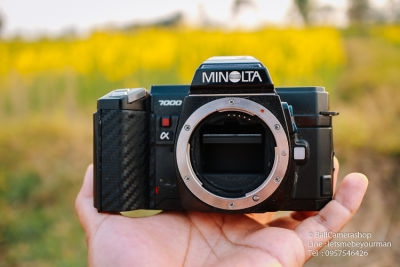 ขายกล้องฟิล์ม Minolta a7000 serial 11153064 Body Only