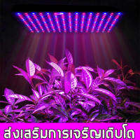 ไฟปลูกต้นไม้ LED 50W แสงสีแดงฟ้า ช่วยการเจริญเติบ โตของพืช  ส่งเสริมการสังเคราะห์แสงของพืช ติดตั้งง่าย ไฟปลูกพืช ไฟเลี้ยงต้นไม้  ไฟปลูก ไฟปลูกต้นกันชา ไฟต้นไม้ led โคมไฟปลูกต้นไม้