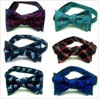 business formal meeting male self tie bowtie butterfly  bow tie boys Boys Clothing