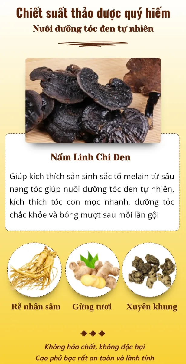 6 mỹ nhân Việt trung thành với màu tóc đen  Giáo dục Việt Nam