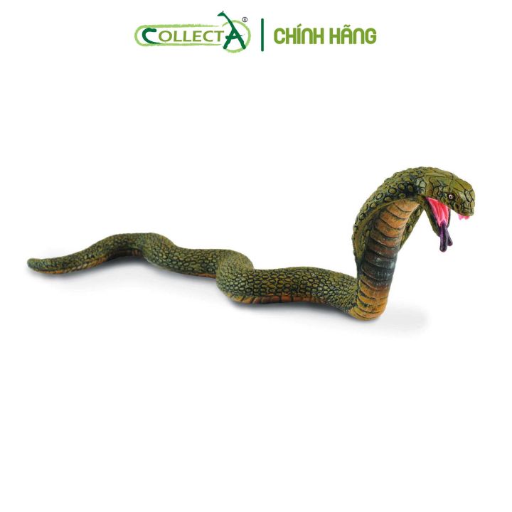 Đồ Chơi Mô Hình Động Vật Collecta Rắn Hổ Mang Chúa - King Cobra | Lazada.Vn