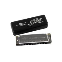 Blues SWAN Harmonica 10Hole Of C Mouth Órgão Com Latão Aço Inoxidável Woodwind Presente Instrumento Para Crianças Iniciantes