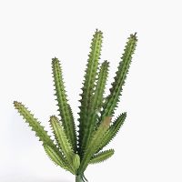 Artificial Plastic Plant Cactus Branch DIY Office Study Living Room Home Decoration Supplies Shoes Accessories