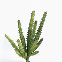 Artificial Plastic Plant Cactus Branch DIY Office Study Living Room Home Decoration Supplies Spine Supporters