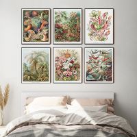 Ernst Haeckel Biology Posters - Palm Tree Prints, Vintage Hummingbird Botanical, Tropical Wall Art-ภาพวาดผ้าใบภาพตกแต่ง-ของตกแต่งบ้านยอดนิยม