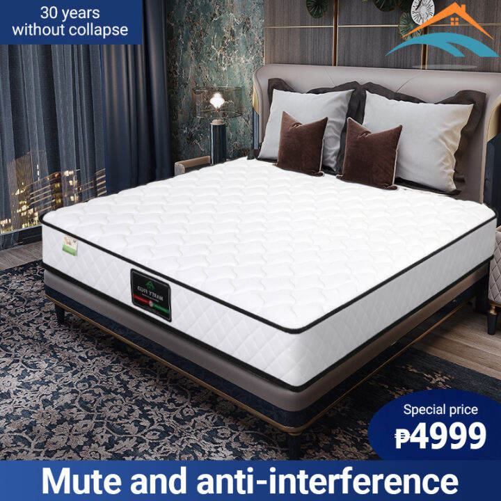 Comprehensive【8.6inch】Mattress bed foam 2 person Spring single Memory ...